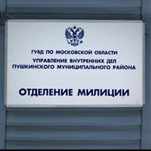 Отделения полиции Райчихинска